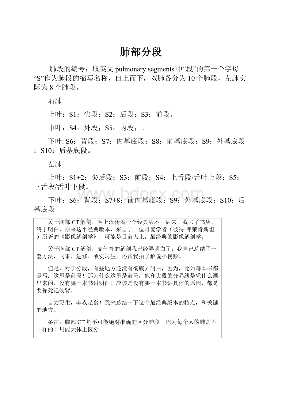 肺部分段Word下载.docx_第1页