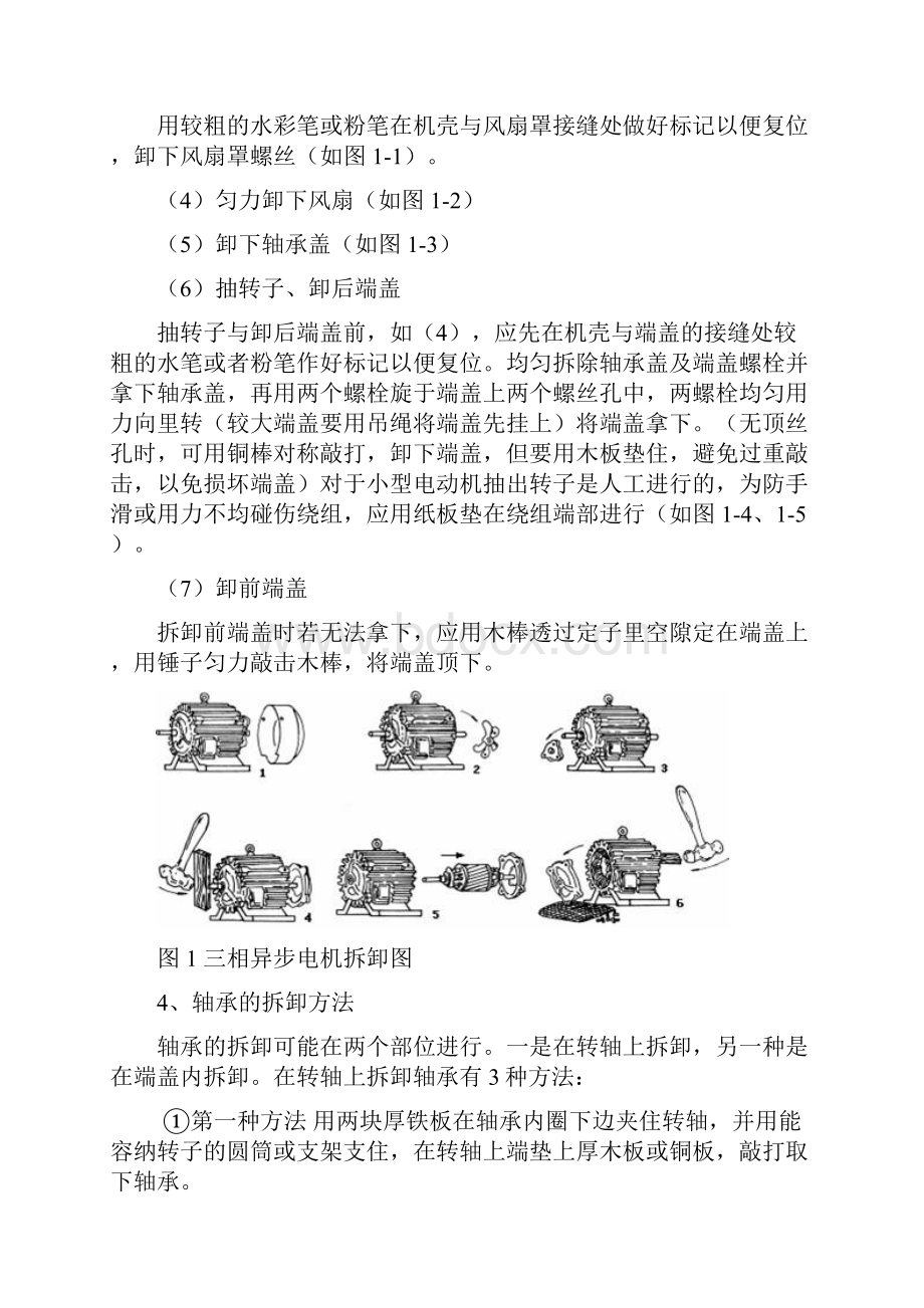 电机拆装实训报告.docx_第3页