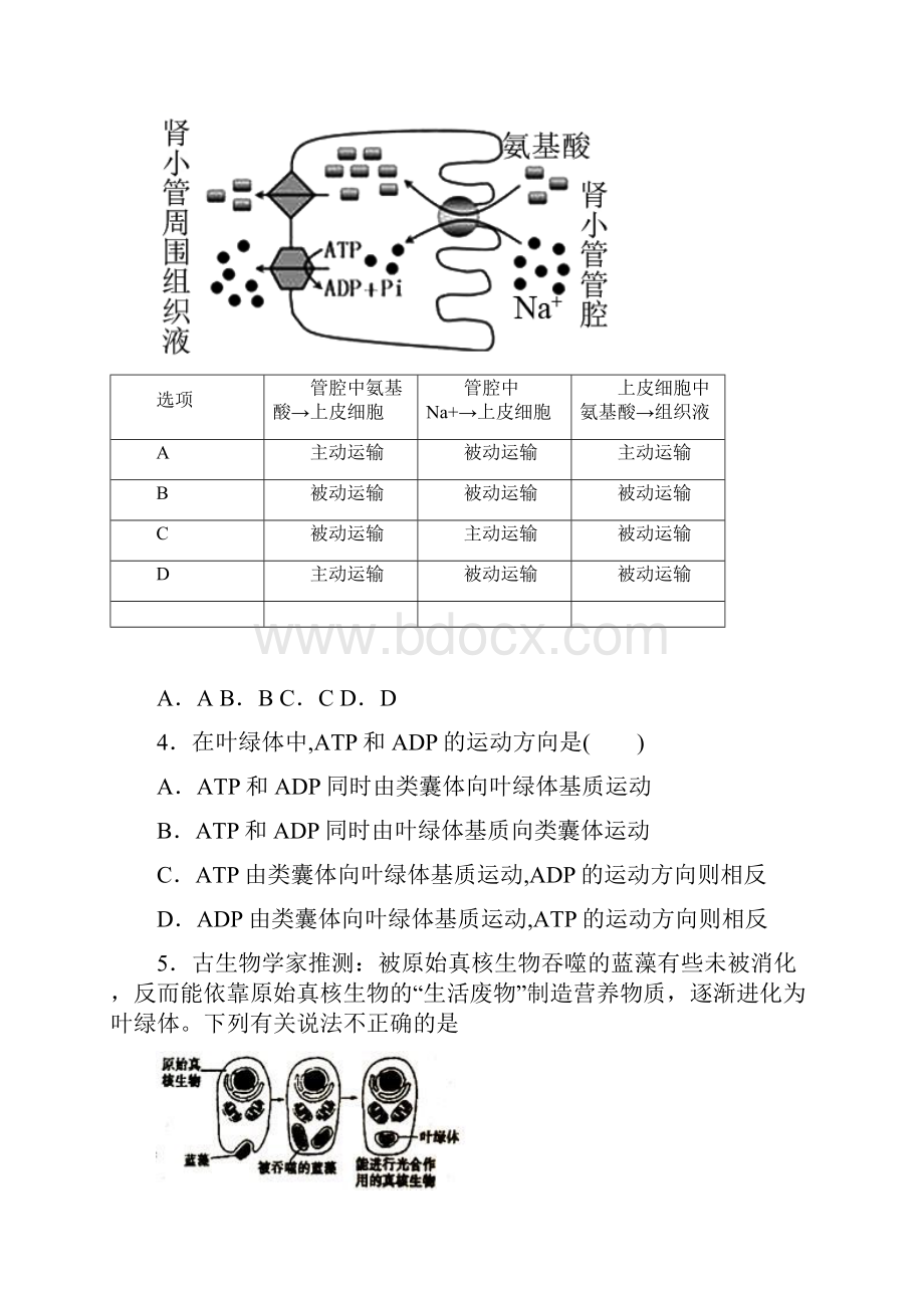 苏州市高一生物必修一期末模拟试题及答案Word下载.docx_第2页