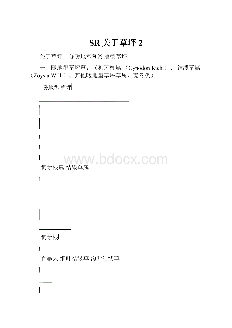 SR关于草坪2Word格式文档下载.docx