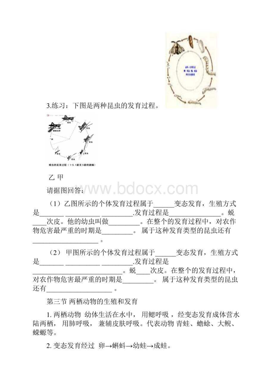 最新整理人教版八年级生物下册知识点总结Word文档格式.docx_第3页