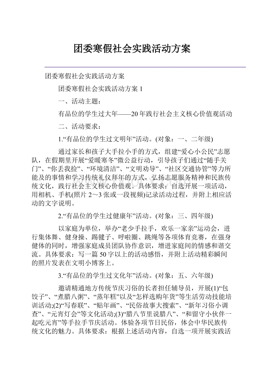 团委寒假社会实践活动方案.docx