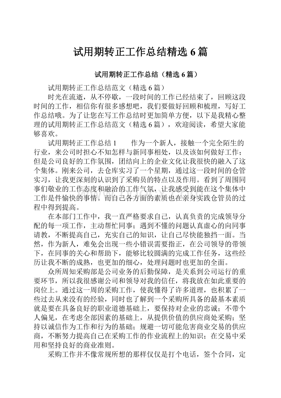 试用期转正工作总结精选6篇.docx