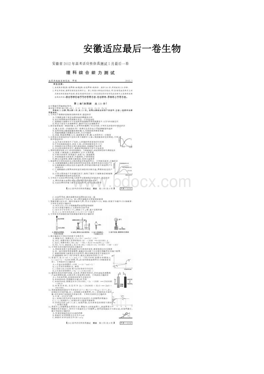 安徽适应最后一卷生物Word格式文档下载.docx