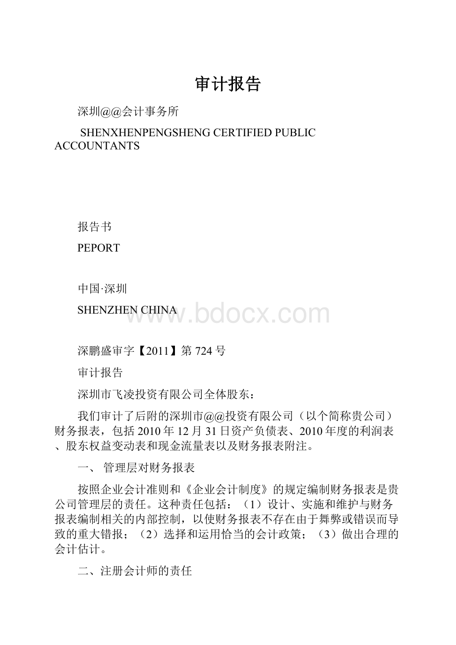 审计报告Word文档格式.docx