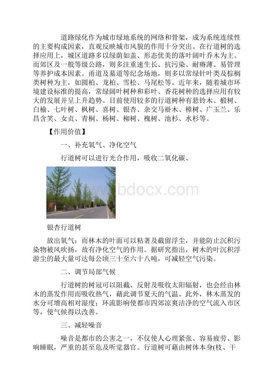 常见绿化树种分类及应用Word格式.docx_第3页