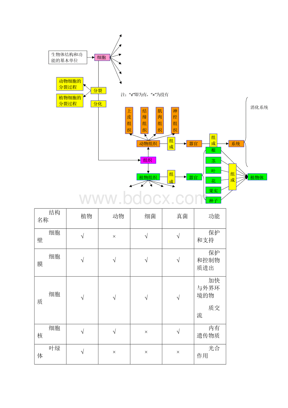 完整版初中生物思维导图大全可编辑修改word版.docx_第2页