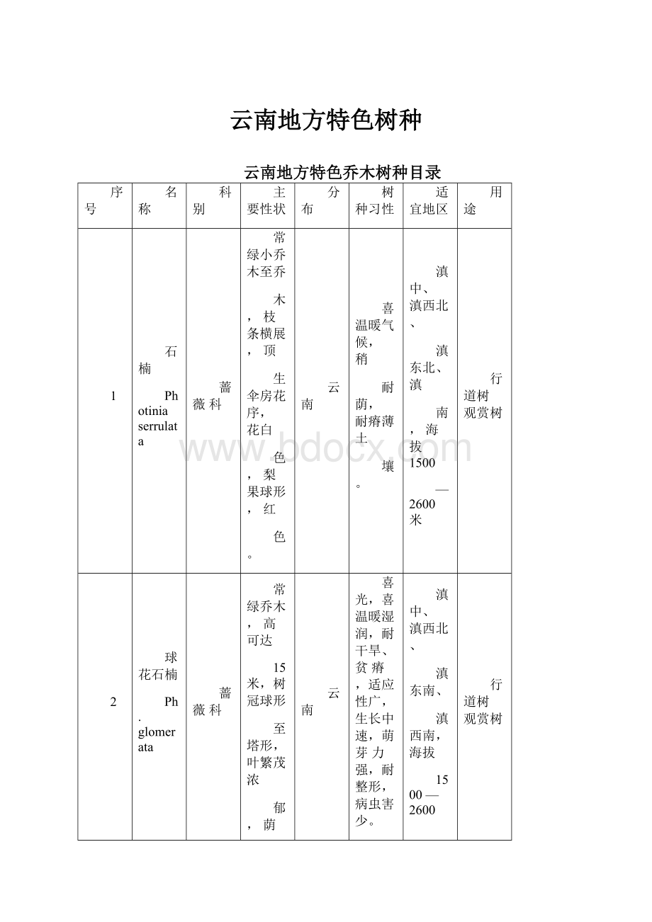 云南地方特色树种Word文档格式.docx_第1页