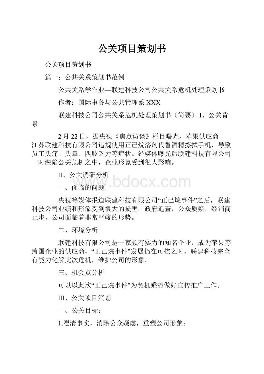 公关项目策划书.docx