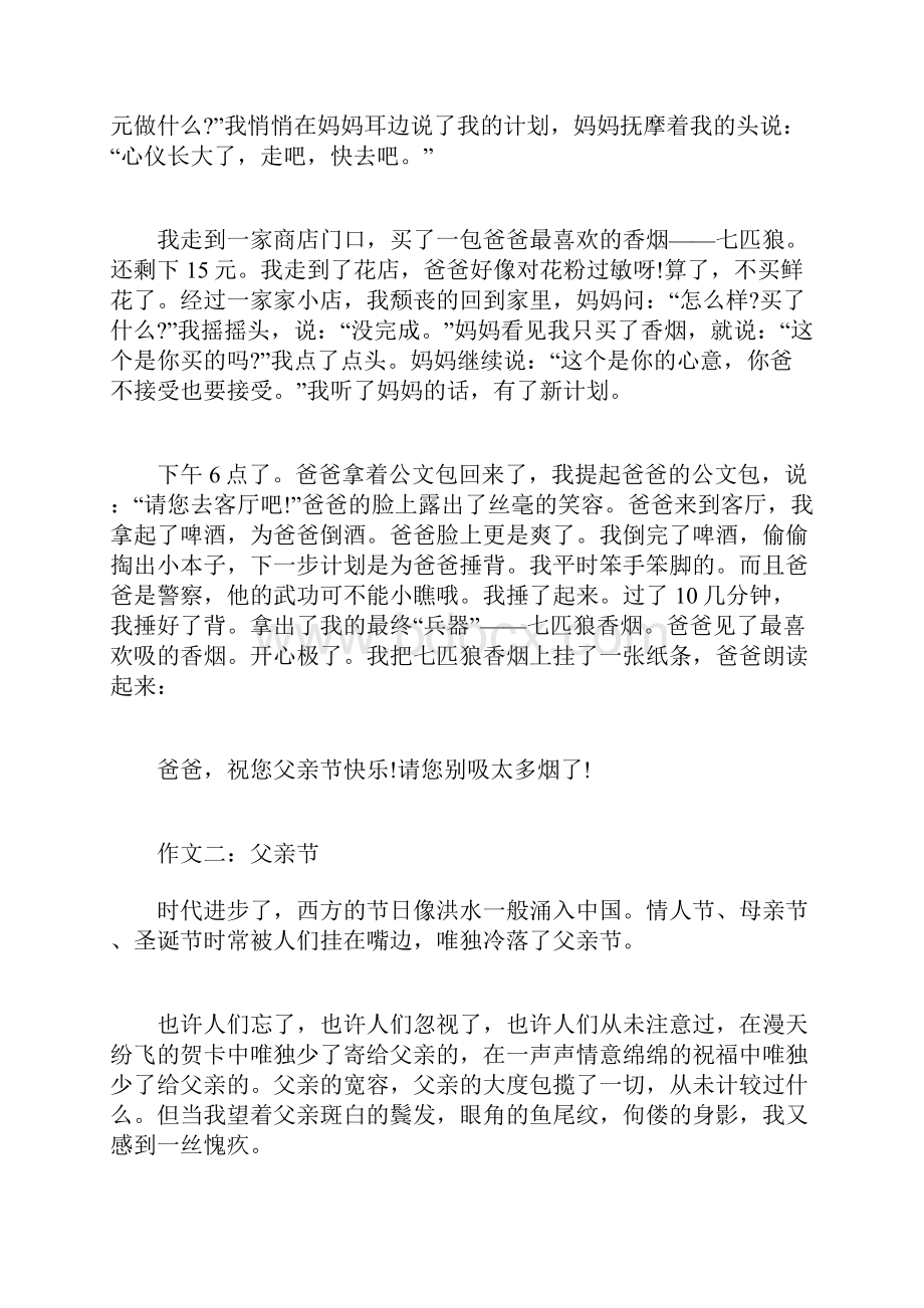 关于父亲节的高中作文Word文档下载推荐.docx_第2页