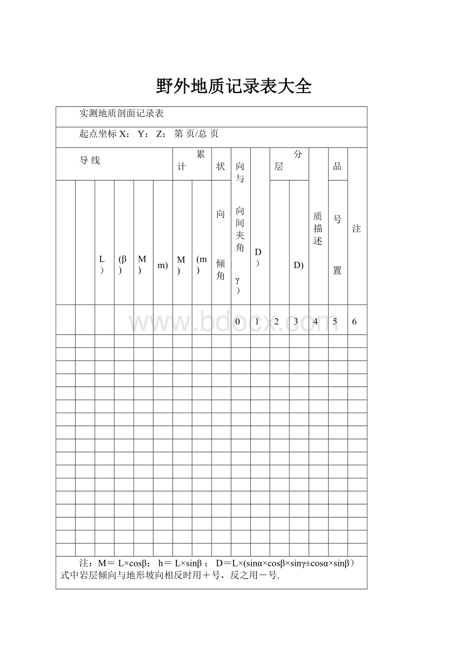 野外地质记录表大全.docx