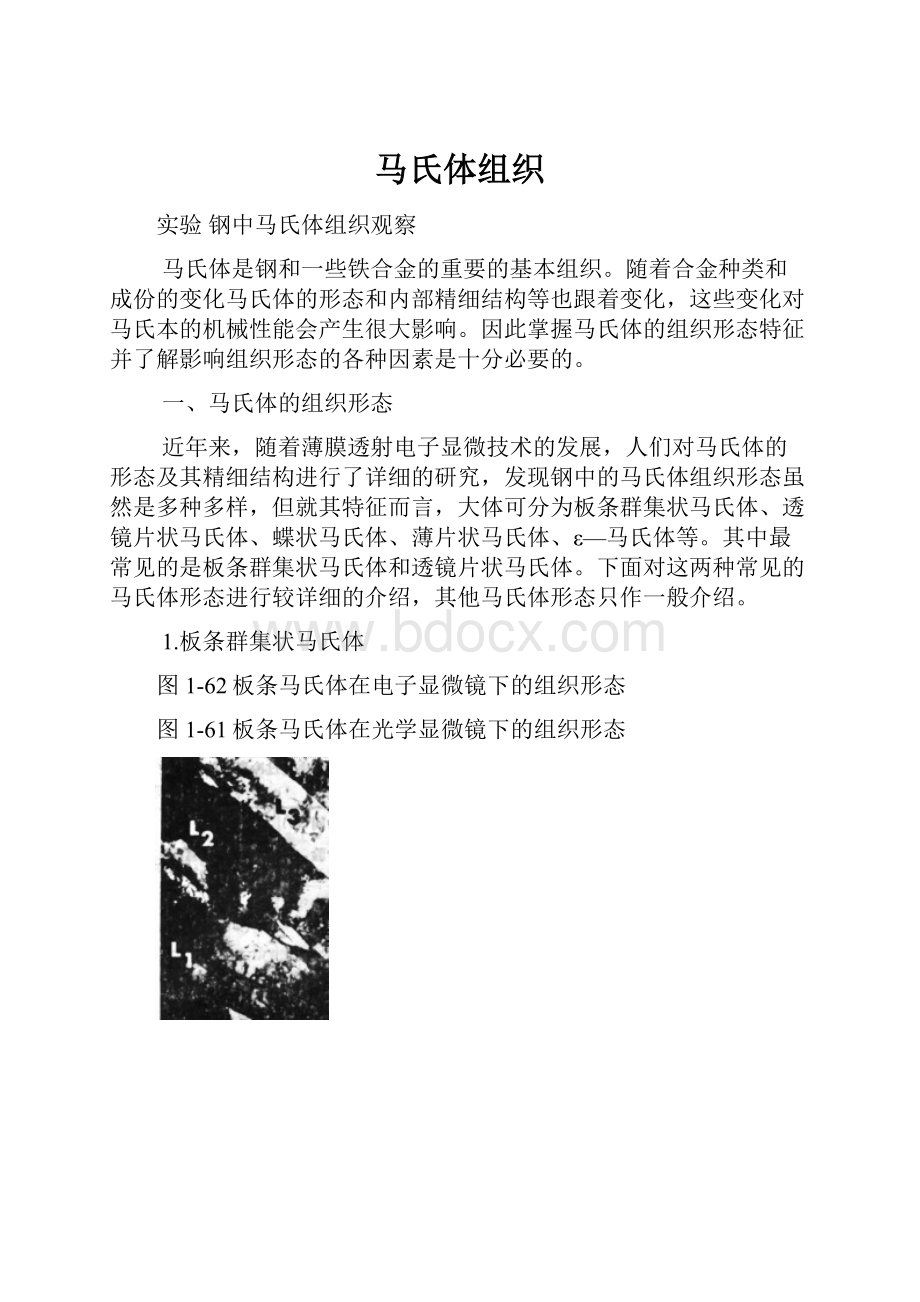 马氏体组织.docx_第1页