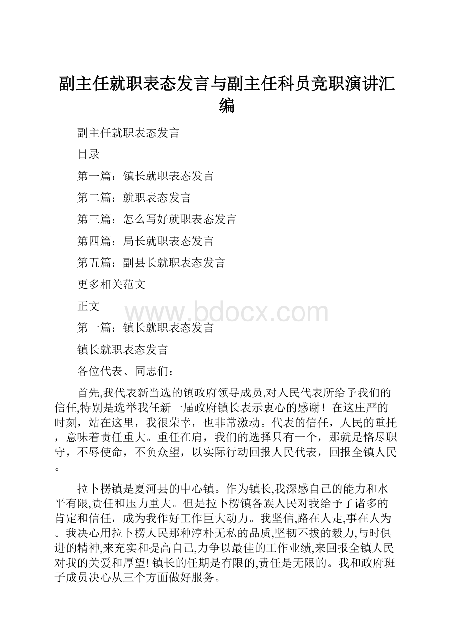 副主任就职表态发言与副主任科员竞职演讲汇编.docx