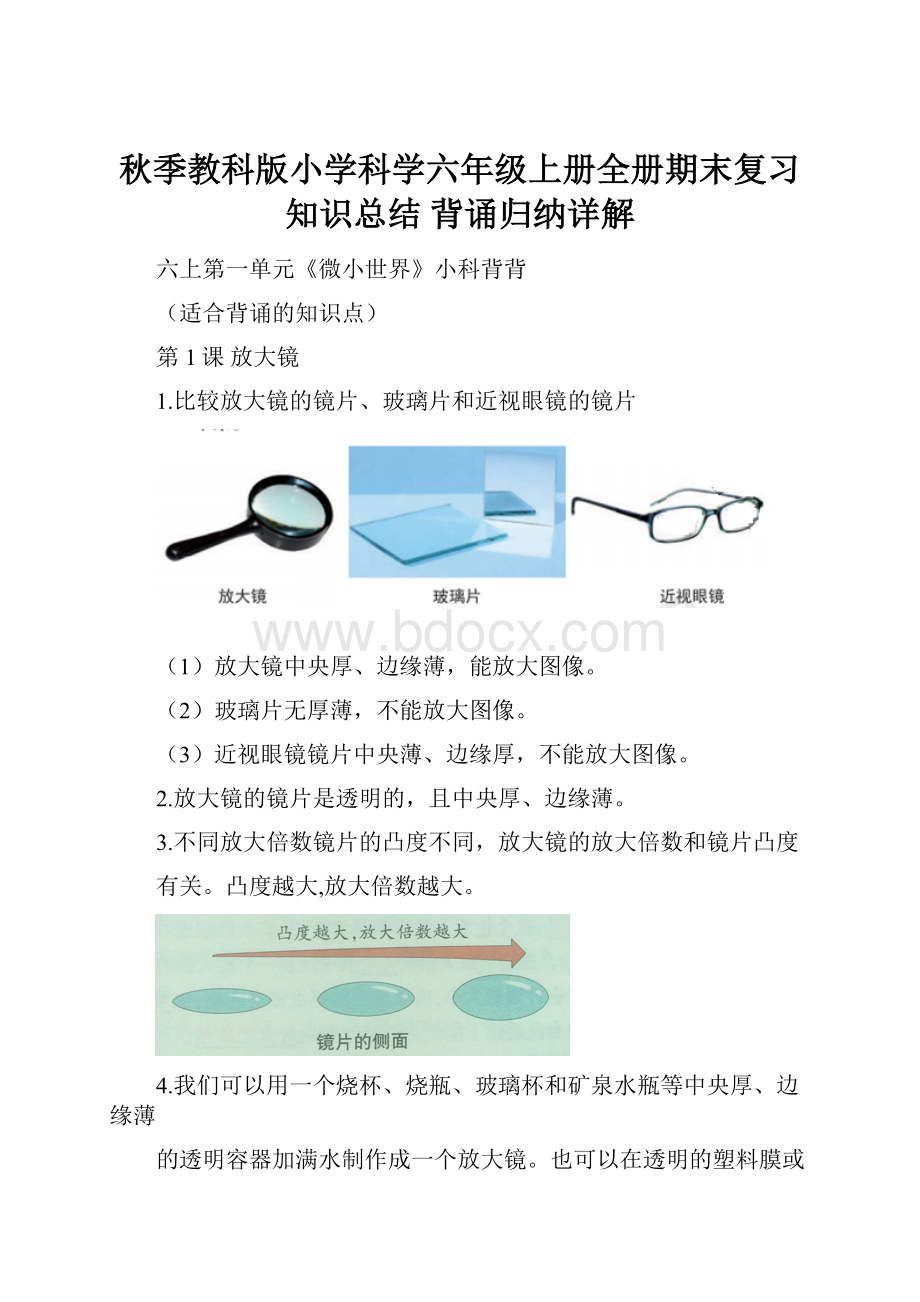 秋季教科版小学科学六年级上册全册期末复习 知识总结 背诵归纳详解Word下载.docx