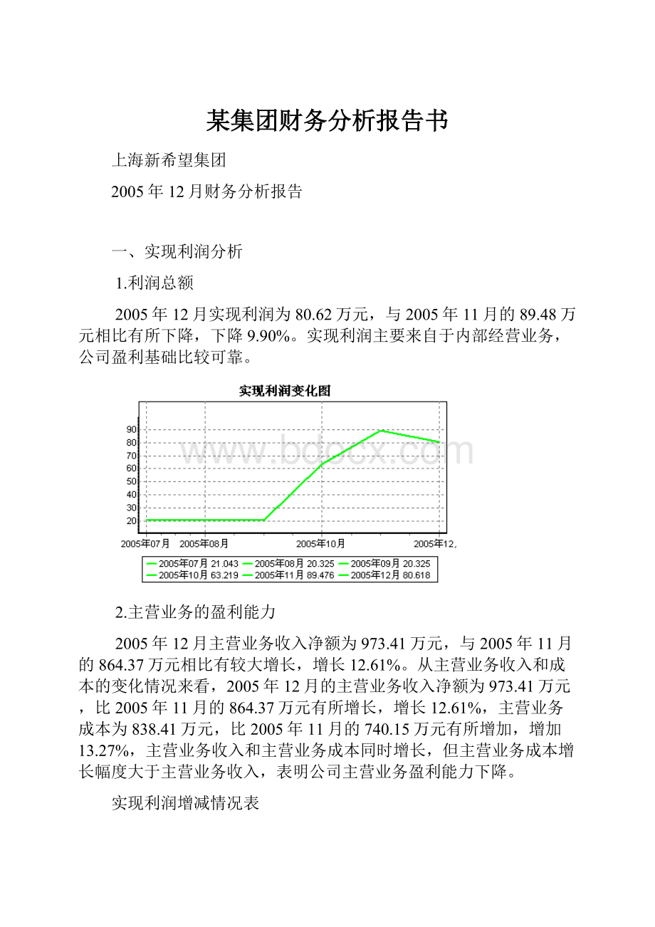 某集团财务分析报告书文档格式.docx