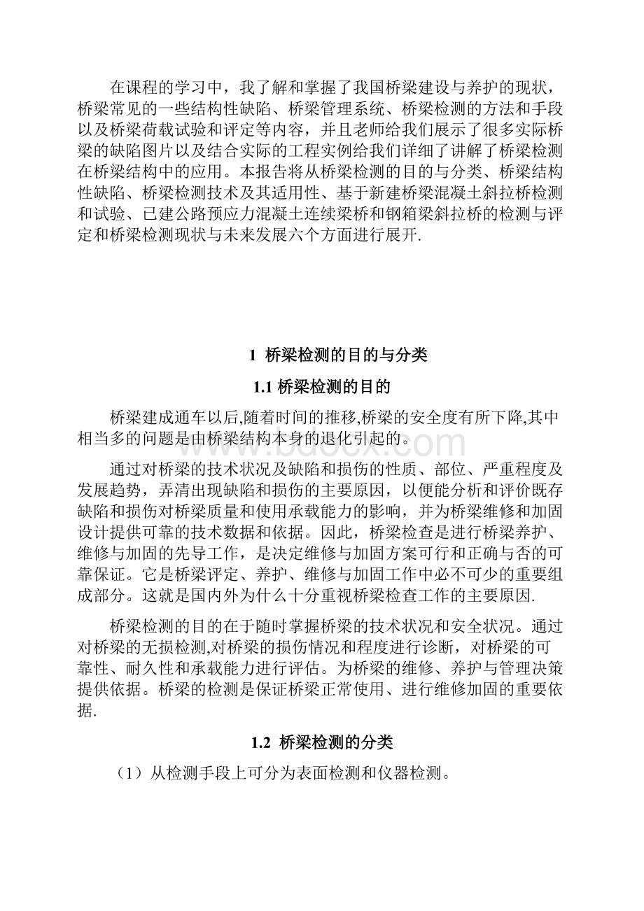 桥梁检测报告范本模板Word文档格式.docx_第2页