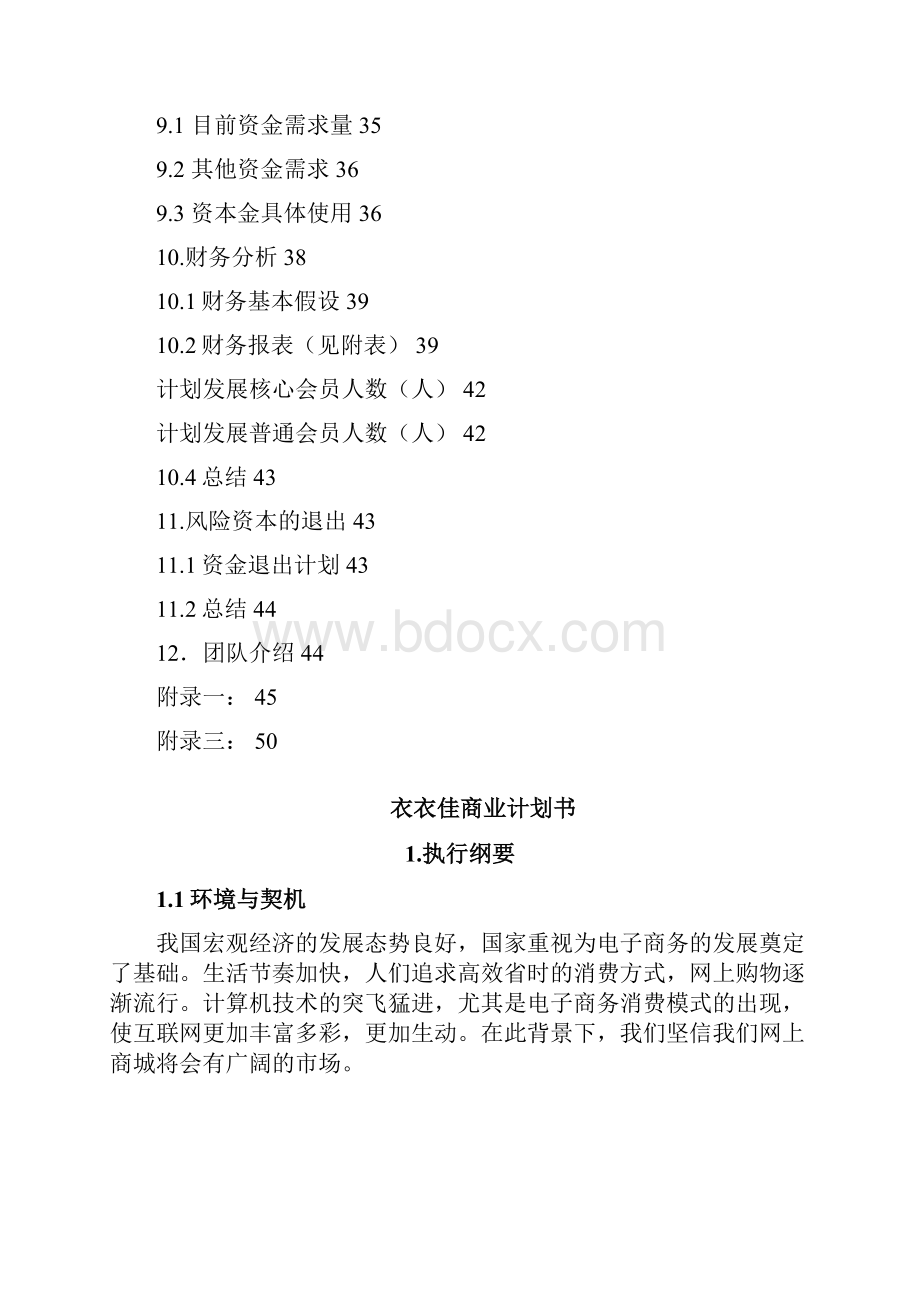 BC商业计划书及网站运维方案.docx_第3页