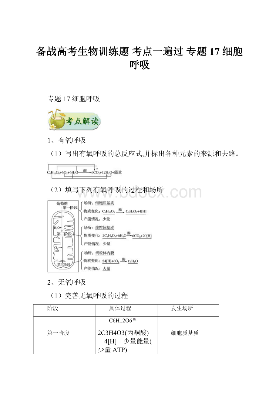 备战高考生物训练题 考点一遍过 专题17 细胞呼吸.docx_第1页