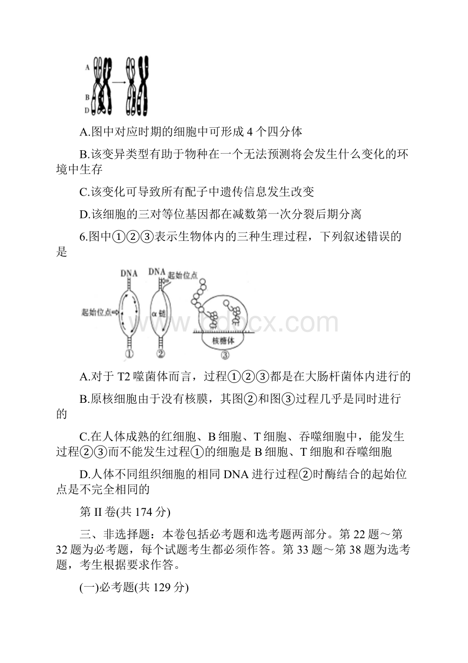 四省八校届高三第二次教学质量检测生物含答案文档格式.docx_第3页