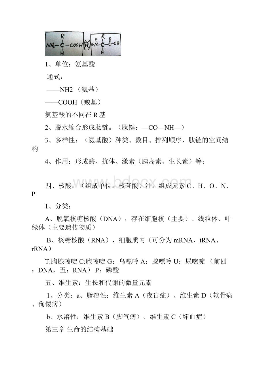 生物会考复习提纲全6 1教案Word文档格式.docx_第3页