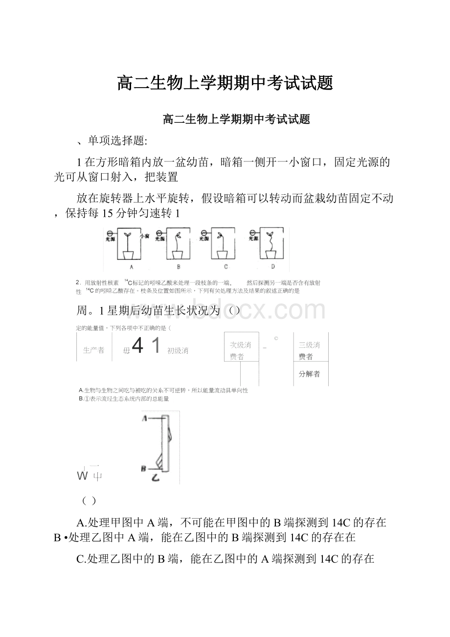 高二生物上学期期中考试试题Word文档下载推荐.docx