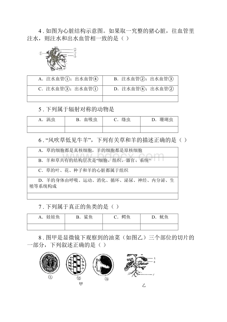 人教版新课程标准版七年级下学期期中生物试题B卷.docx_第2页