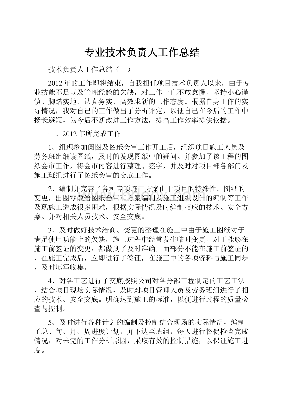 专业技术负责人工作总结Word文件下载.docx_第1页