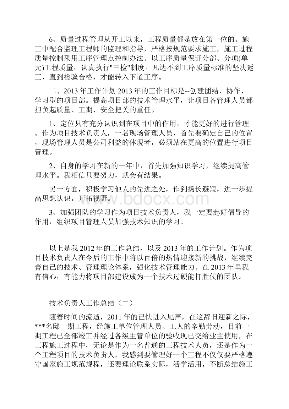 专业技术负责人工作总结Word文件下载.docx_第2页