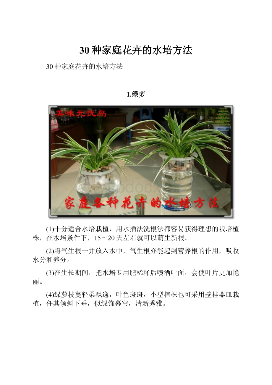 30种家庭花卉的水培方法Word格式.docx_第1页