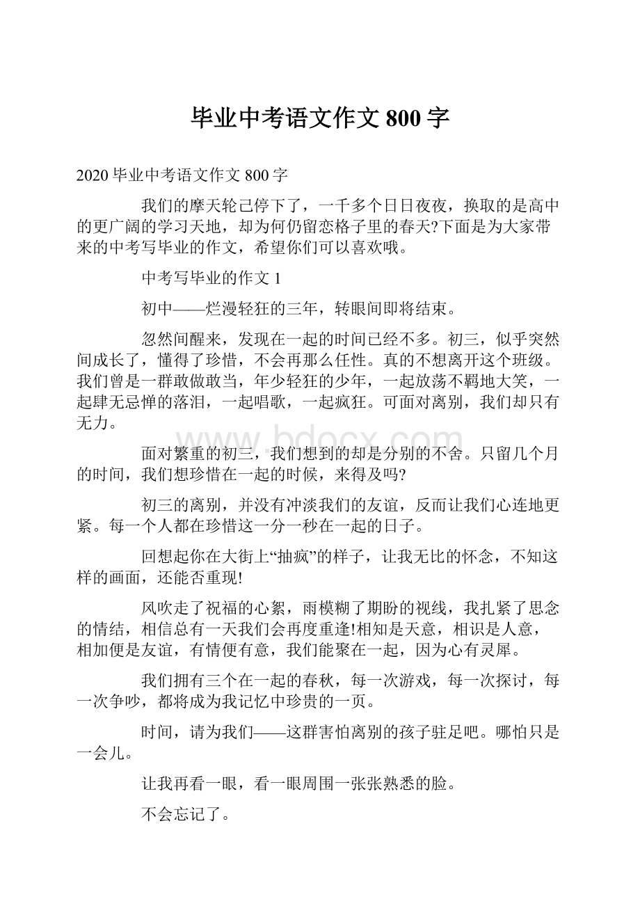 毕业中考语文作文800字.docx