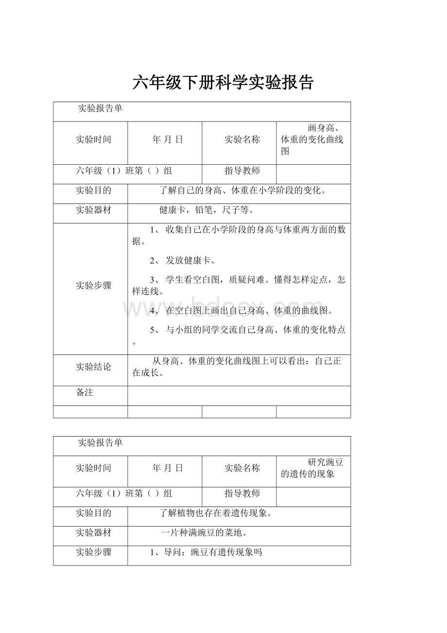 六年级下册科学实验报告Word格式文档下载.docx