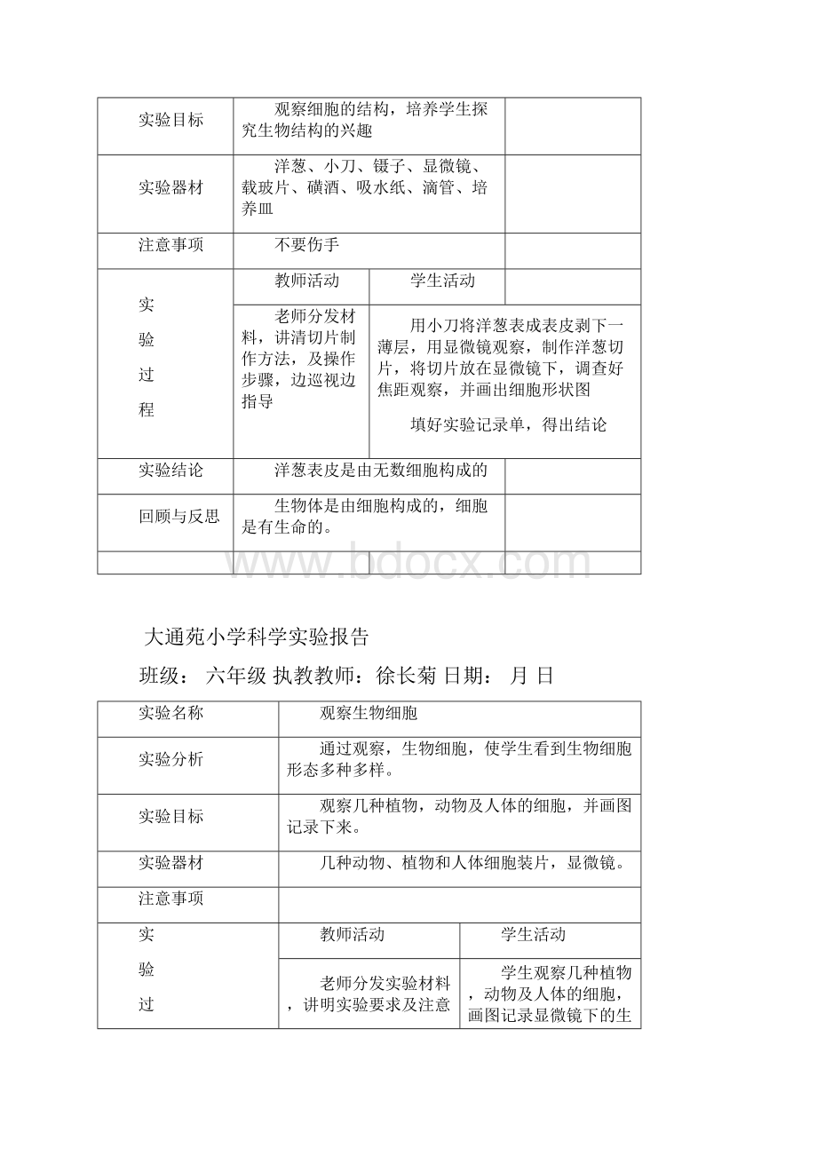 六年级下册科学实验报告单修改.docx_第2页