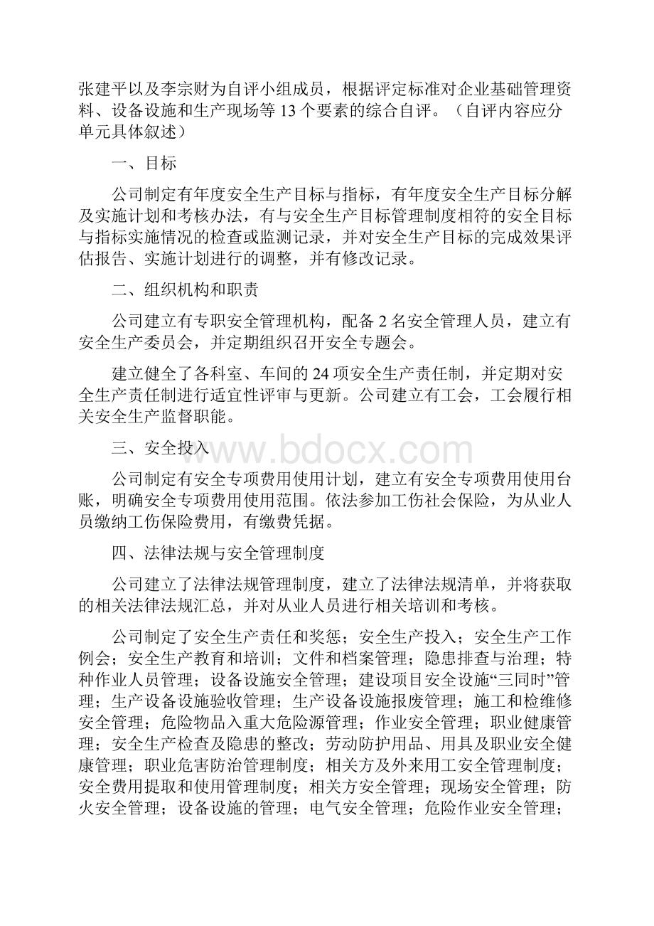 安全生产标准化自评报告范本.docx_第3页