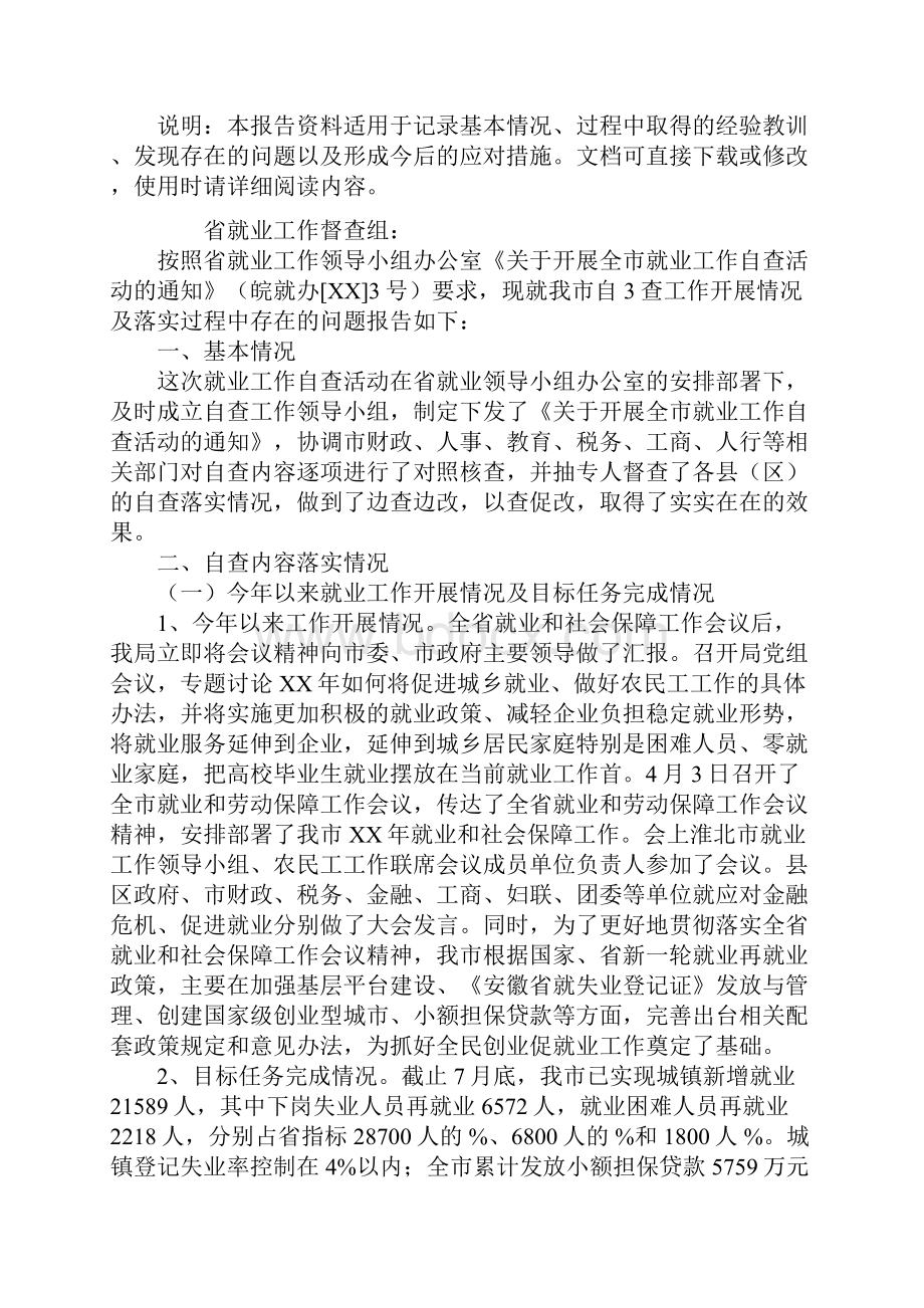 关于市就业工作自查情况的报告范本.docx_第2页