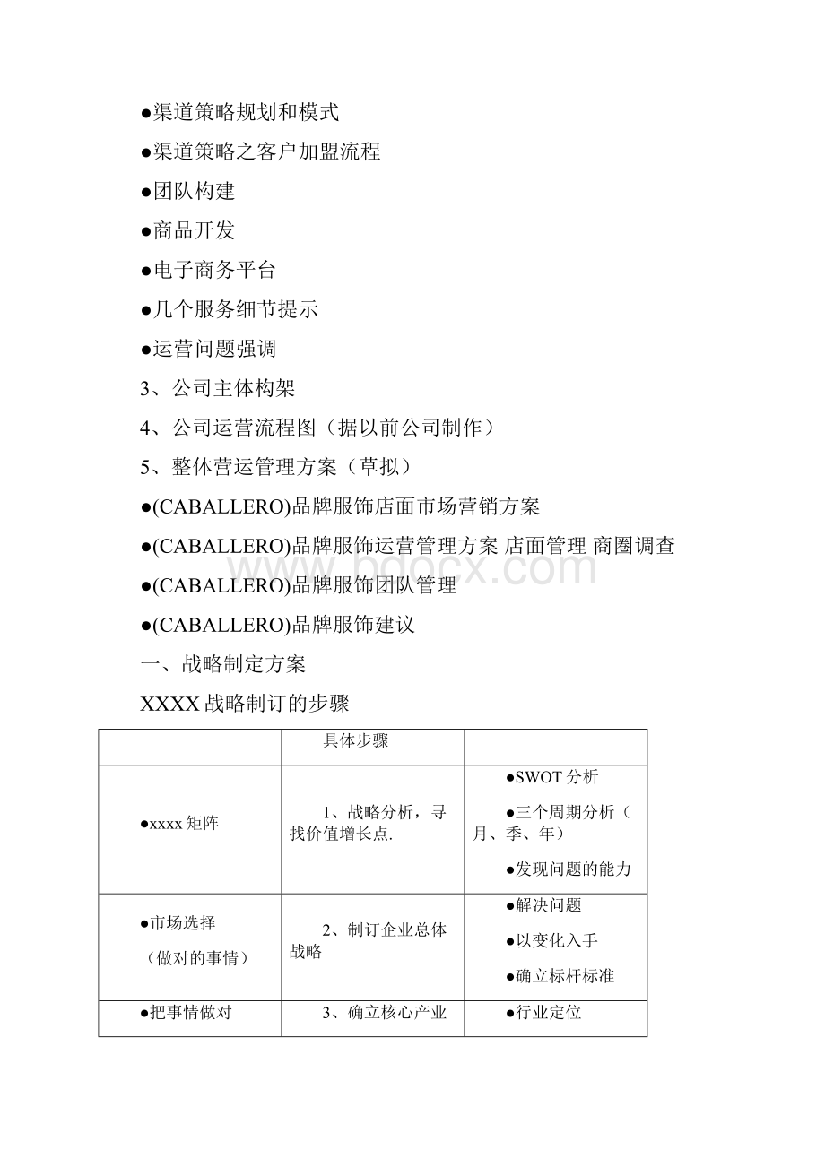 战略规划及运营流程.docx_第2页