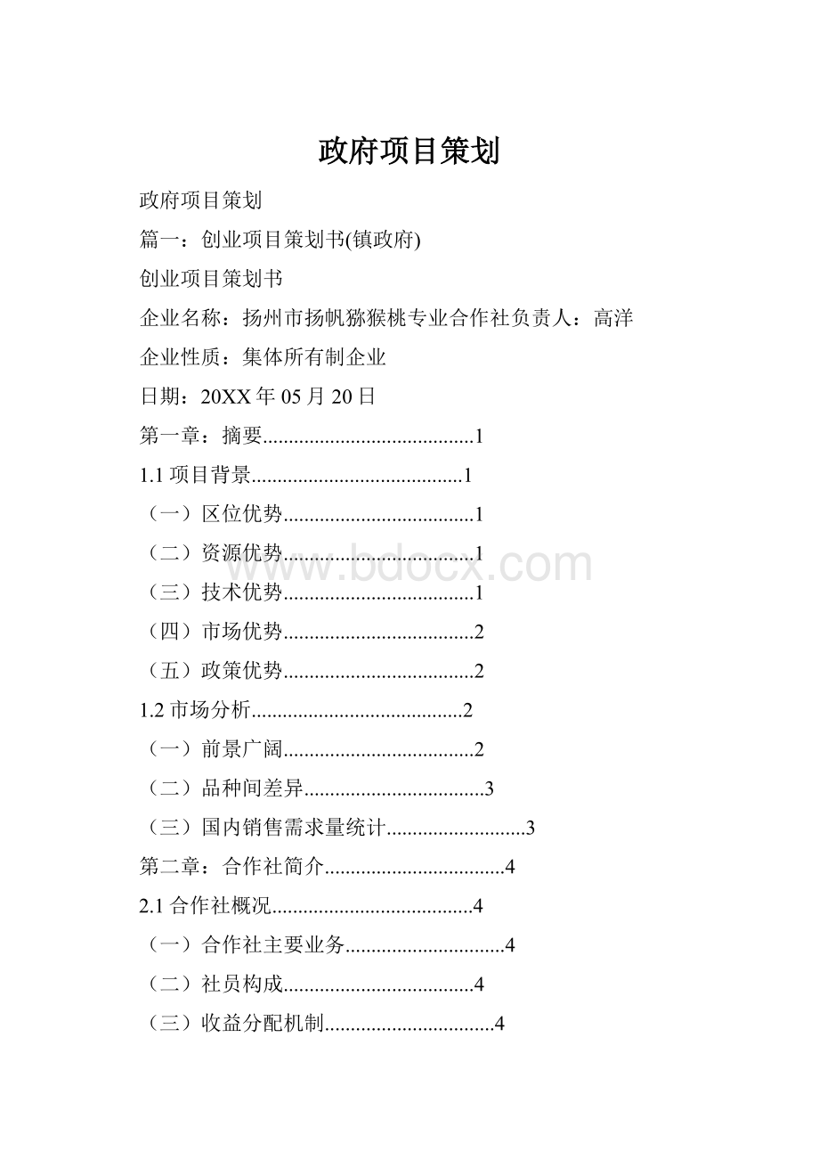 政府项目策划.docx_第1页