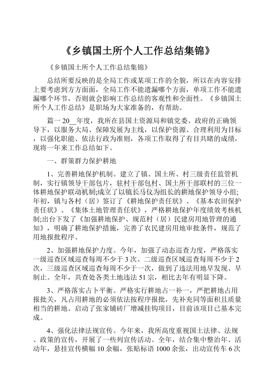 《乡镇国土所个人工作总结集锦》.docx