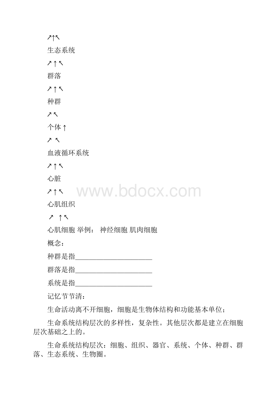 高一生物全套学案.docx_第3页