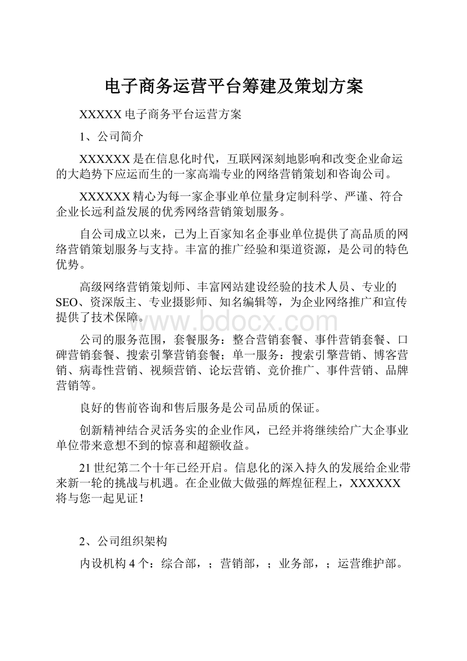 电子商务运营平台筹建及策划方案Word格式.docx