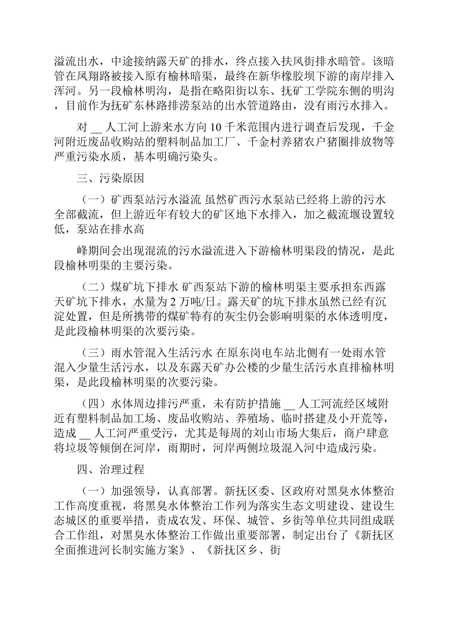 关于黑臭水体治理调研报告.docx_第2页