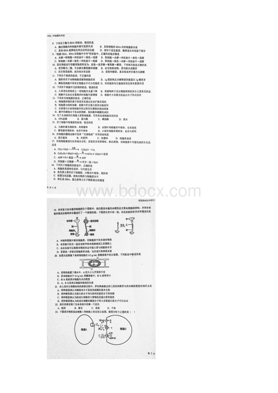 学年河北省深州市中学高二下学期期末考试生物试题 扫描版Word格式.docx_第2页