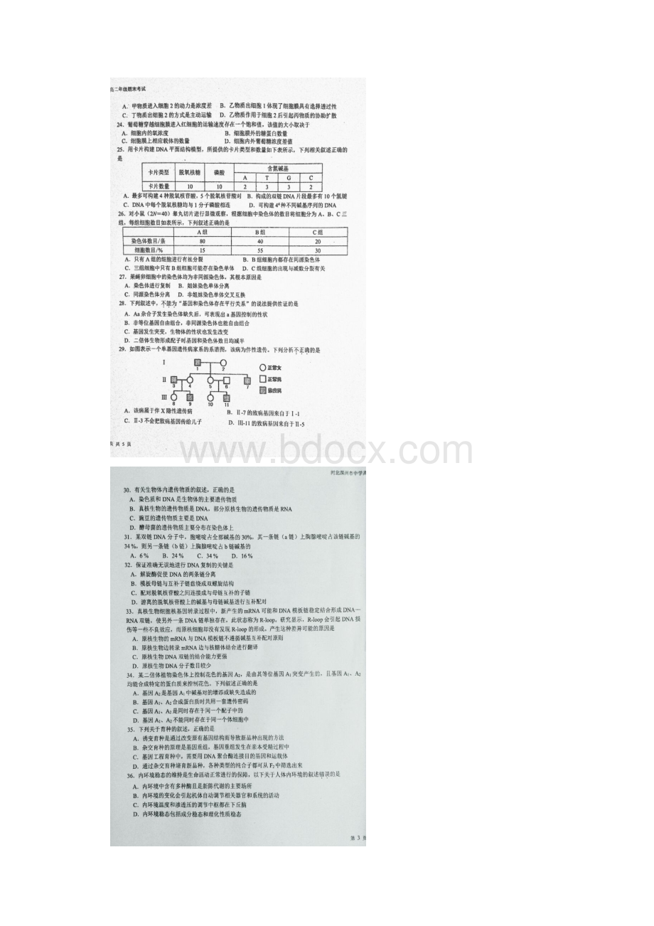 学年河北省深州市中学高二下学期期末考试生物试题 扫描版Word格式.docx_第3页