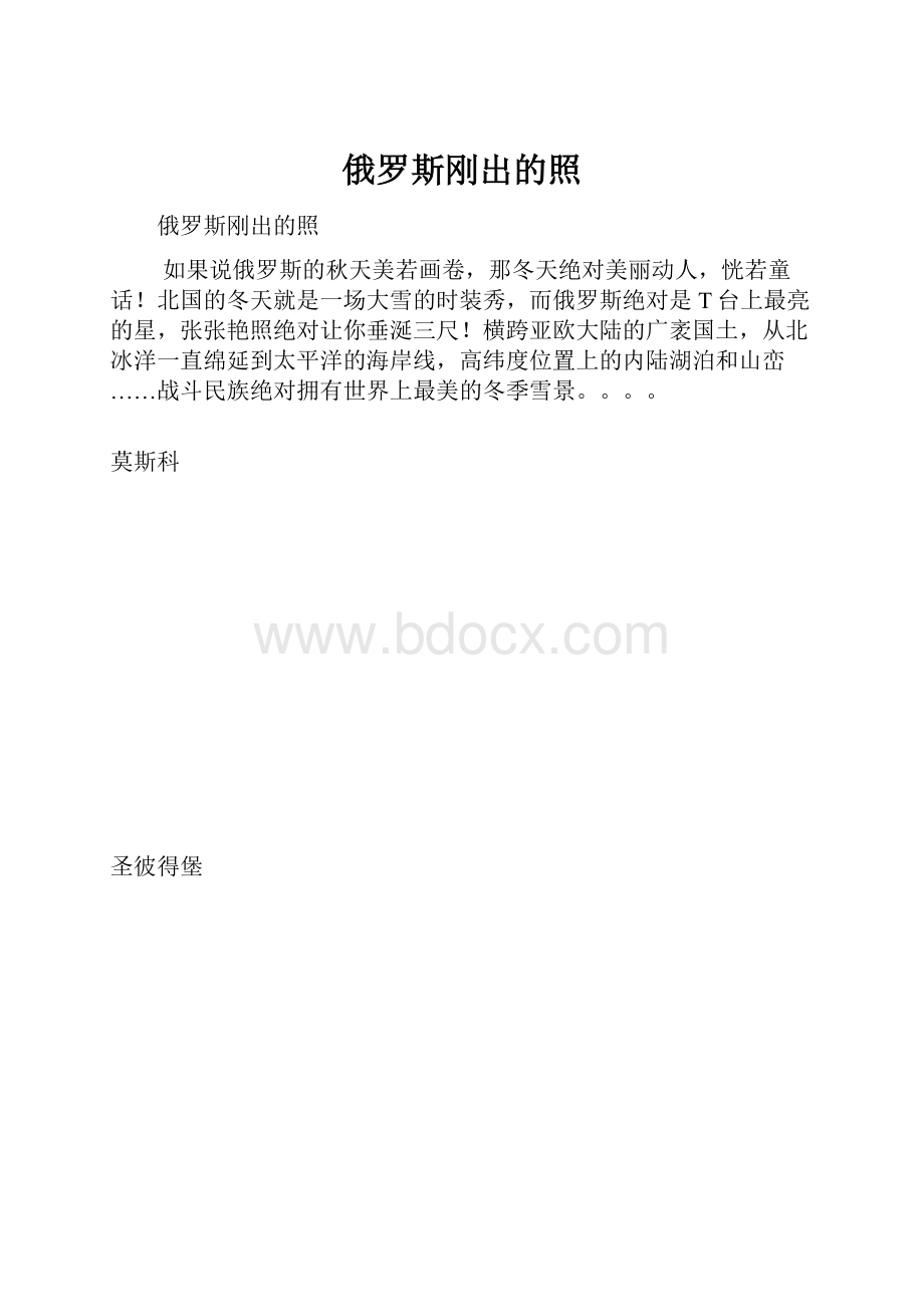 俄罗斯刚出的照Word格式.docx