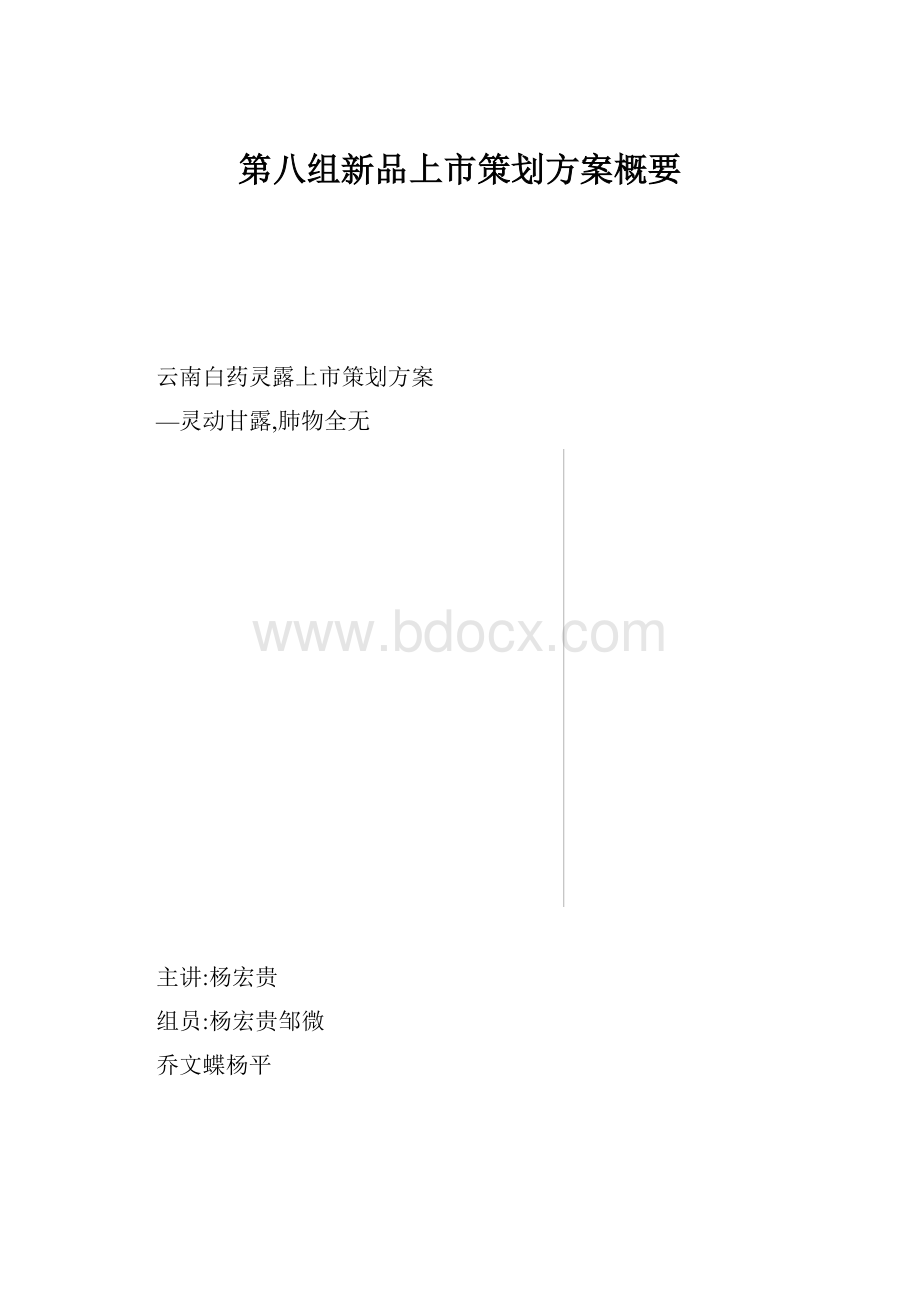 第八组新品上市策划方案概要Word格式文档下载.docx