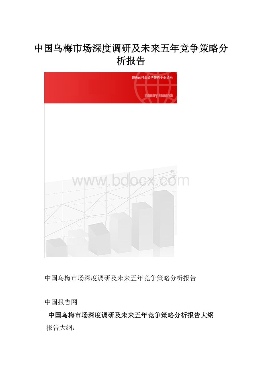 中国乌梅市场深度调研及未来五年竞争策略分析报告.docx_第1页