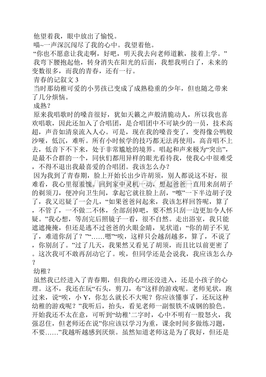 青春的记叙文15篇Word文档下载推荐.docx_第3页