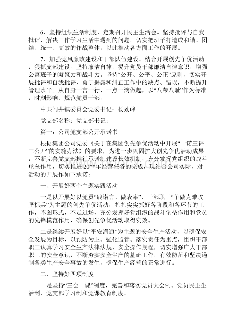 党支部公开承诺书范本Word格式文档下载.docx_第2页