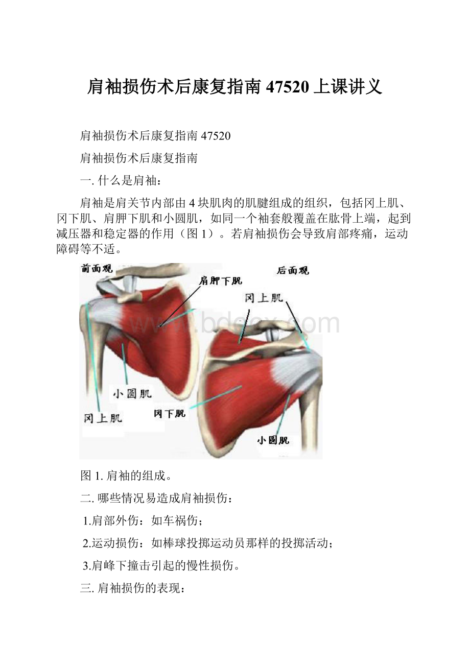 肩袖损伤术后康复指南47520上课讲义Word格式文档下载.docx_第1页