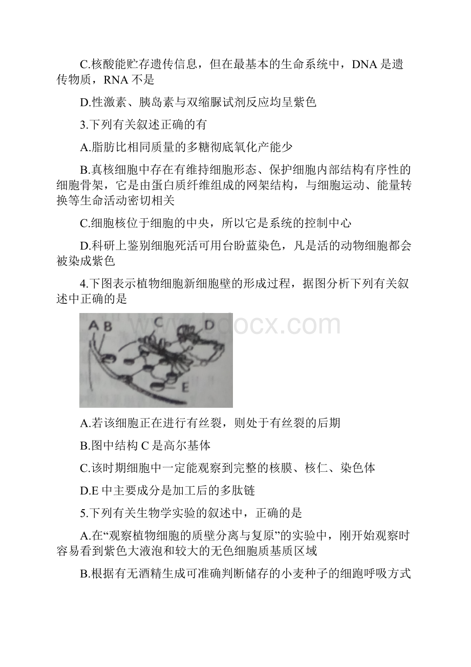 河南省濮阳市学年高一下学期升级考试生物试题含答案Word格式.docx_第2页