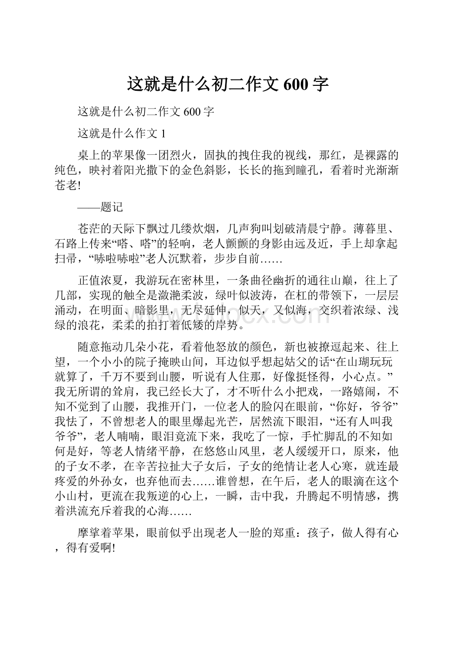 这就是什么初二作文600字.docx